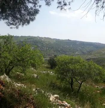 أرض للبيع في ابو النعير