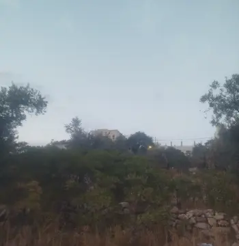 أرض للبيع في ابو النعير