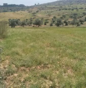 أرض للبيع في عراق الامير