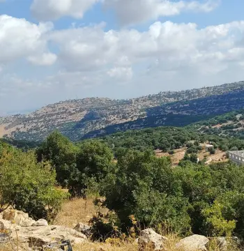 أرض للبيع في Zubiya