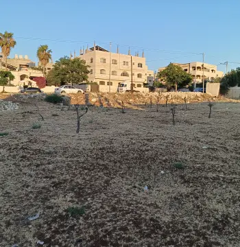 Land for sale in Honaina