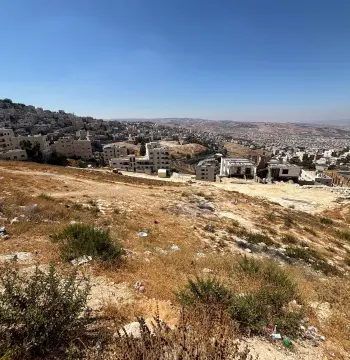 Land for sale in Al Jubayha