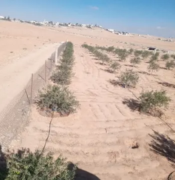 أرض للبيع في أخرى