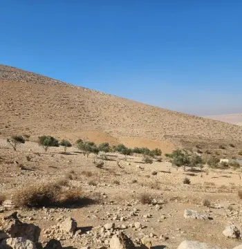 أرض للبيع في أخرى