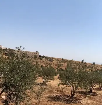 أرض للبيع في Hayyan Al Moshref