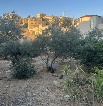 أرض للبيع في Al Barha