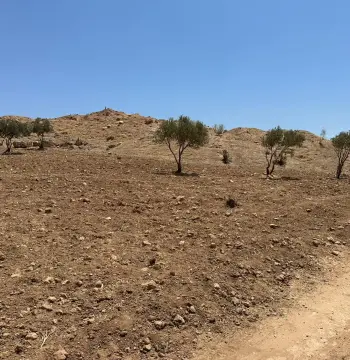 أرض للبيع في أخرى