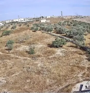 Land for rent in Al-Mazar Al-Janoubi