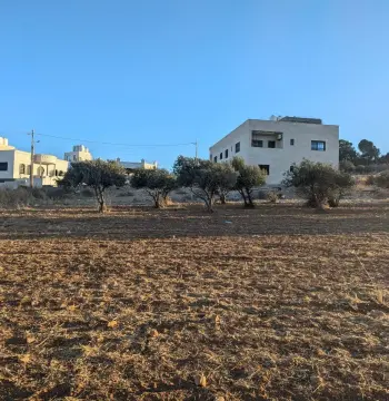 Land for sale in Shafa Badran