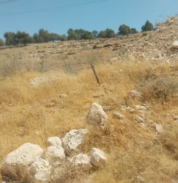 أرض للبيع في شفا بدران
