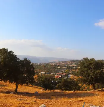 أرض للبيع في بدر  الجديدة