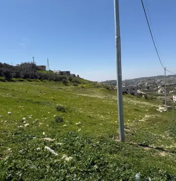 أرض للبيع في مرج الحمام