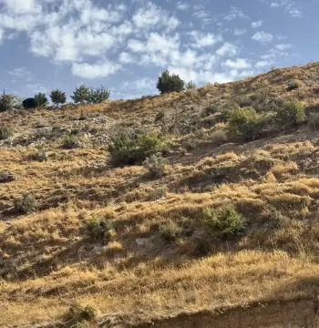 أرض للبيع في وادي السير