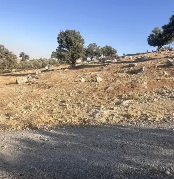 أرض للبيع في Sarout