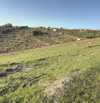 Land for sale in Al Balqa'
