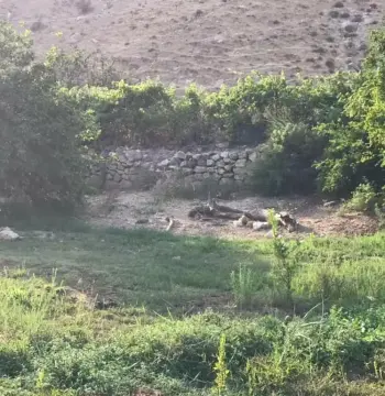 Land for sale in Al Balqa'