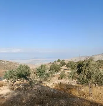 Land for sale in Other