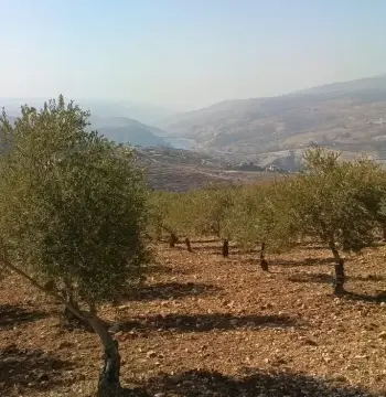 أرض للبيع في Al-Mastaba