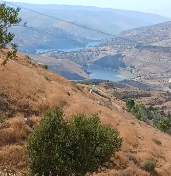 أرض للبيع في Al-Mastaba