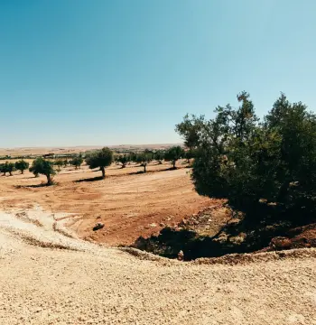 Land for sale in Bala'ama