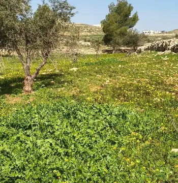 Land for sale in Ain wa Al-Ma'mariyyeh