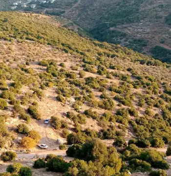 Land for sale in Other