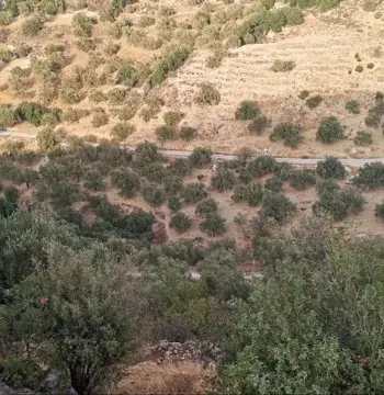 Land for sale in Other