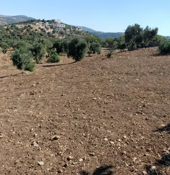 Land for sale in Other