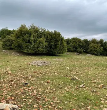 Land for sale in Other