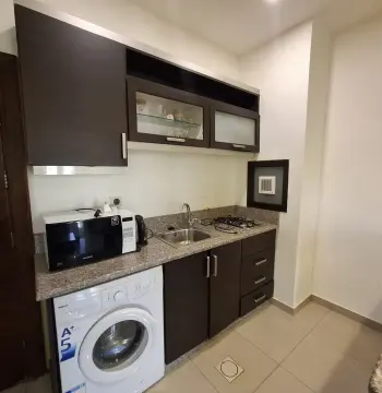 Furnished Apartment to Rent #3484